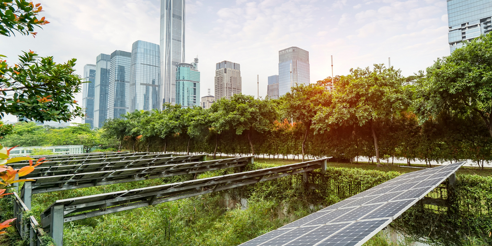 Corporate Sustainability Goals