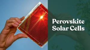 Perovskite Solar Cell. Solar Panel Selection. Solar Panels