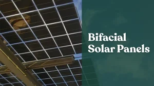 Bifacial solar panels, solar panel selection, solar panels for projects