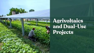 Agrivoltaic solar installation, solar panel installation, solar panels, best solar panels